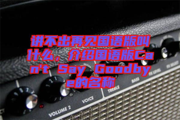 講不出再見國語版叫什么，介紹國語版Can't Say Goodbye的名稱