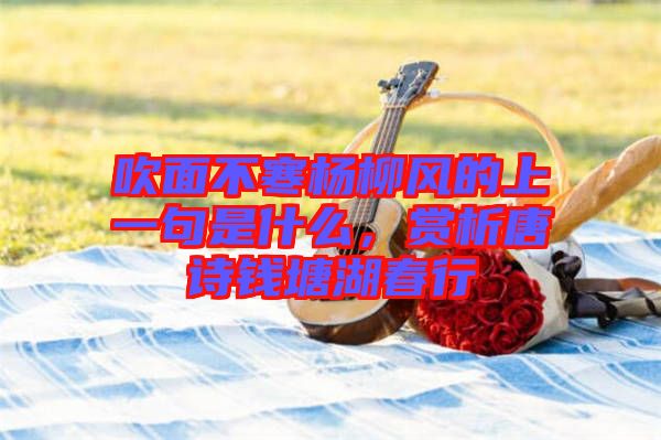 吹面不寒楊柳風的上一句是什么，賞析唐詩錢塘湖春行