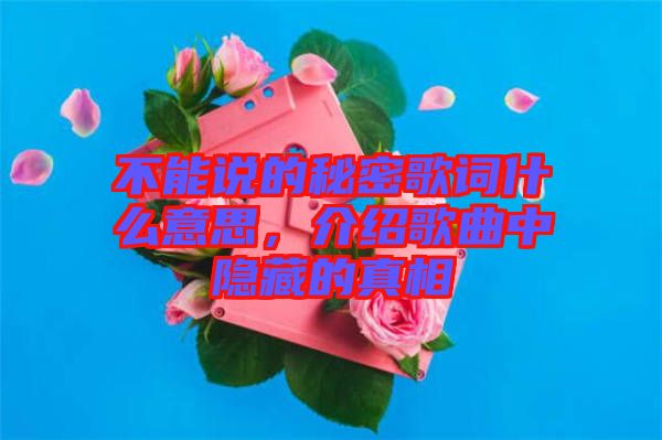 不能說的秘密歌詞什么意思，介紹歌曲中隱藏的真相