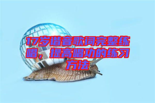 17歲諧音歌詞完整練唱，提高唱功的練習(xí)方法