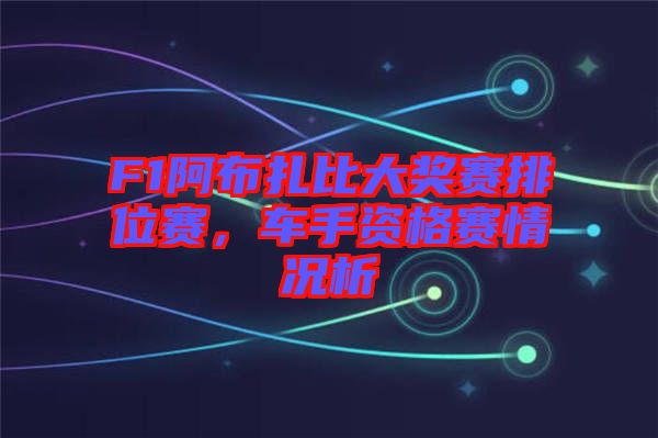 F1阿布扎比大獎賽排位賽，車手資格賽情況析