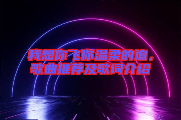 我想你飛你溫柔的追，歌曲推薦及歌詞介紹