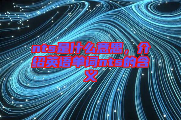 nts是什么意思，介紹英語單詞nts的含義