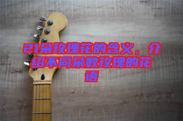 21朵玫瑰花的含義，介紹不同朵數(shù)玫瑰的花語(yǔ)