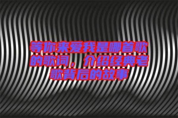等你來(lái)愛(ài)我是哪首歌的歌詞，介紹經(jīng)典老歌背后的故事