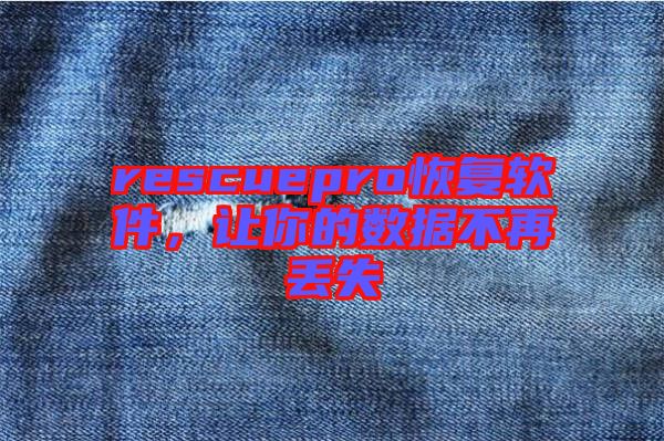 rescuepro恢復軟件，讓你的數(shù)據(jù)不再丟失