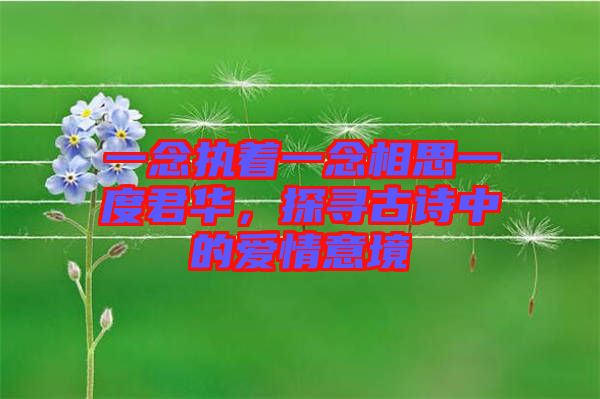 一念執(zhí)著一念相思一度君華，探尋古詩(shī)中的愛(ài)情意境