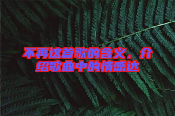 不再這首歌的含義，介紹歌曲中的情感達