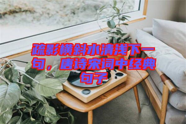 疏影橫斜水清淺下一句，唐詩宋詞中經(jīng)典句子