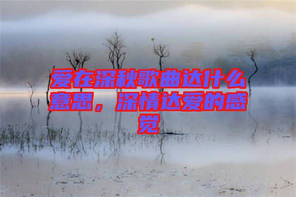 愛在深秋歌曲達(dá)什么意思，深情達(dá)愛的感覺