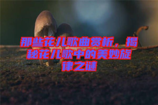 那些花兒歌曲賞析，揭秘花兒歌中的美妙旋律之謎