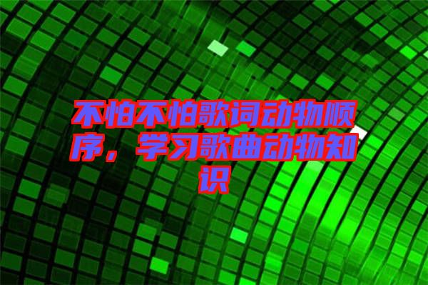 不怕不怕歌詞動物順序，學習歌曲動物知識