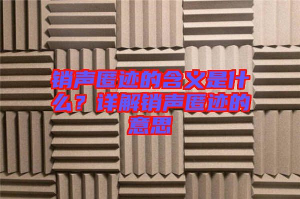 銷聲匿跡的含義是什么？詳解銷聲匿跡的意思