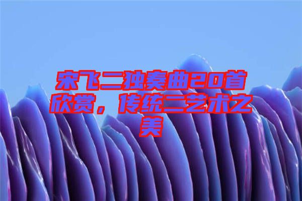 宋飛二獨(dú)奏曲20首欣賞，傳統(tǒng)二藝術(shù)之美