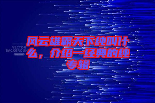 風云雄霸天下純叫什么，介紹一經典的純專輯