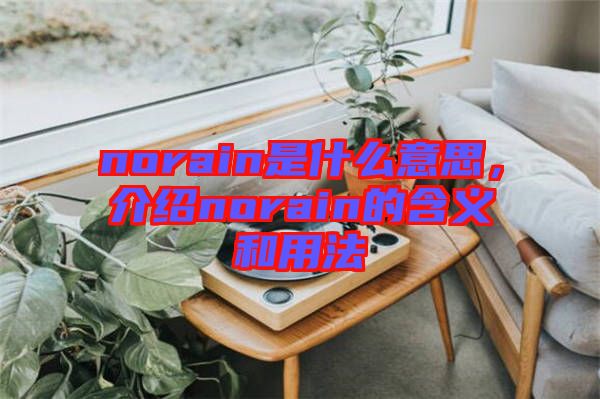 norain是什么意思，介紹norain的含義和用法