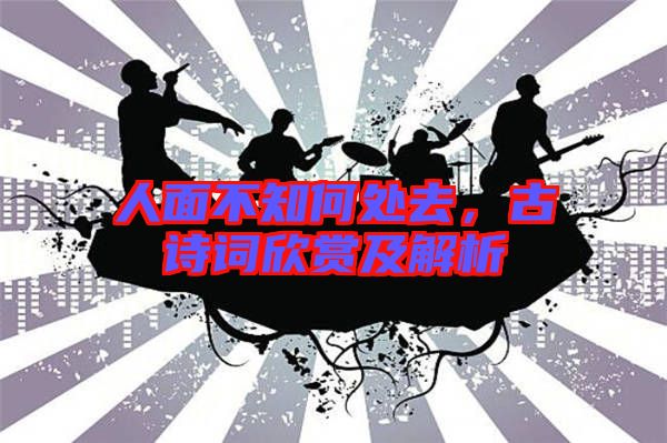 人面不知何處去，古詩詞欣賞及解析