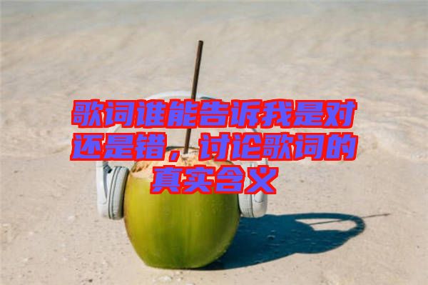 歌詞誰能告訴我是對還是錯，討論歌詞的真實含義
