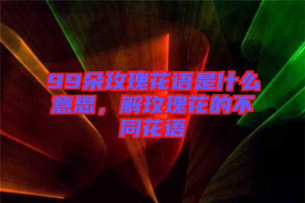 99朵玫瑰花語是什么意思，解玫瑰花的不同花語