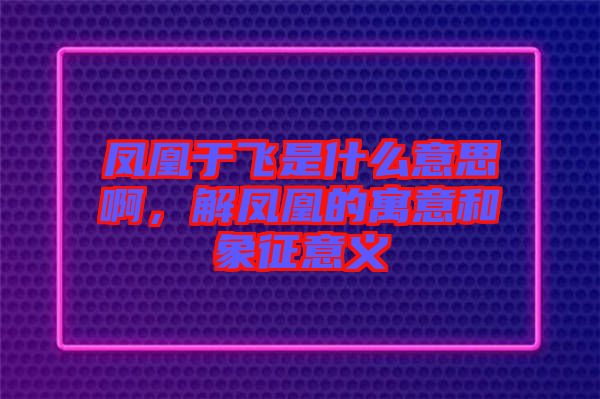 鳳凰于飛是什么意思啊，解鳳凰的寓意和象征意義