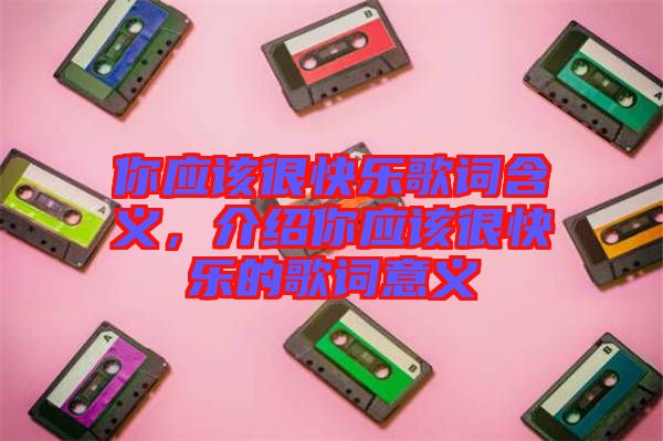你應(yīng)該很快樂歌詞含義，介紹你應(yīng)該很快樂的歌詞意義