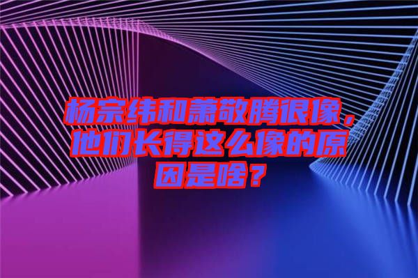 楊宗緯和蕭敬騰很像，他們長(zhǎng)得這么像的原因是啥？