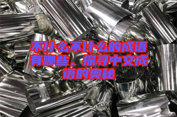 不什么不什么的成語有哪些，探尋中文成語的奧秘