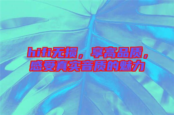 hifi無損，享高品質，感受真實音質的魅力