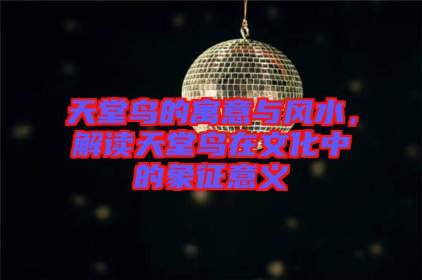 天堂鳥(niǎo)的寓意與風(fēng)水，解讀天堂鳥(niǎo)在文化中的象征意義