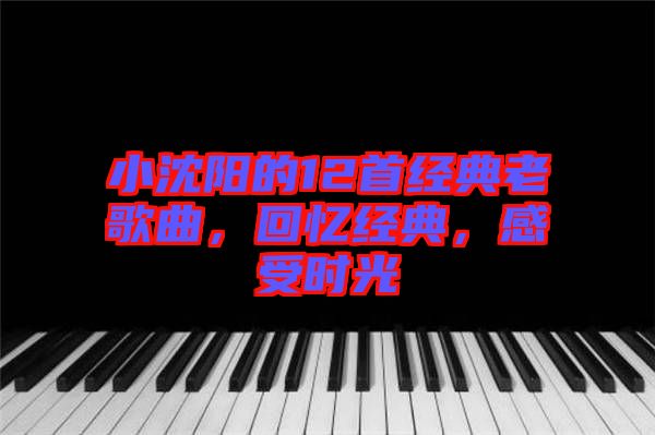 小沈陽的12首經(jīng)典老歌曲，回憶經(jīng)典，感受時光