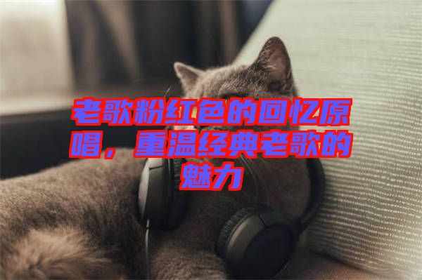 老歌粉紅色的回憶原唱，重溫經(jīng)典老歌的魅力