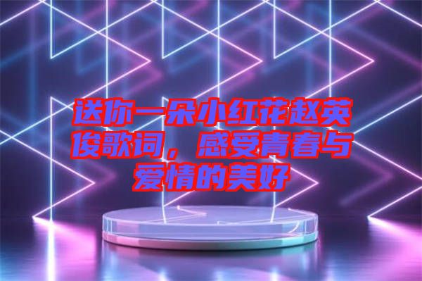 送你一朵小紅花趙英俊歌詞，感受青春與愛情的美好