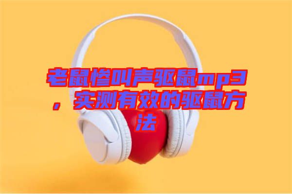 老鼠慘叫聲驅鼠mp3，實測有效的驅鼠方法