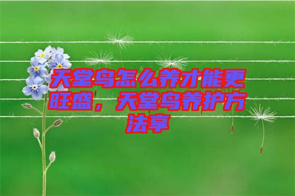 天堂鳥怎么養(yǎng)才能更旺盛，天堂鳥養(yǎng)護(hù)方法享