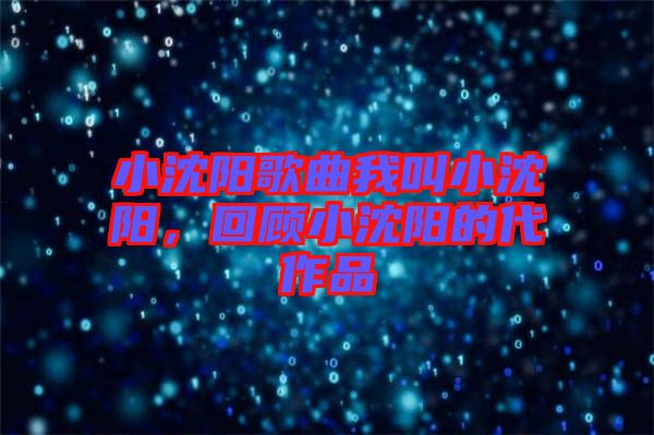 小沈陽歌曲我叫小沈陽，回顧小沈陽的代作品