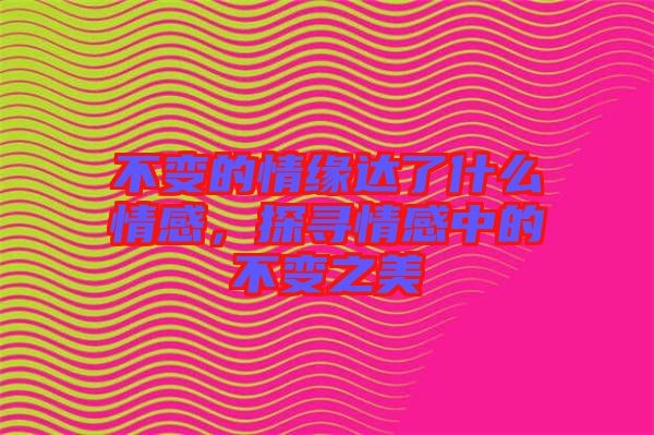 不變的情緣達了什么情感，探尋情感中的不變之美