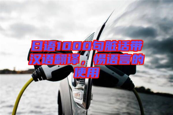 日語(yǔ)1000句臟話帶漢語(yǔ)翻譯，惕語(yǔ)言的使用