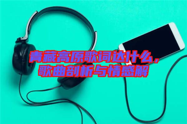 青藏高原歌詞達(dá)什么，歌曲剖析與情感解