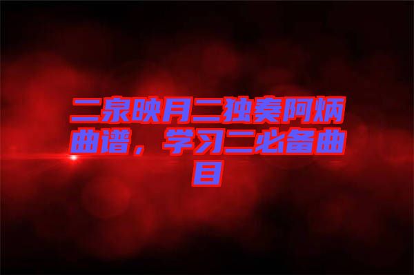 二泉映月二獨(dú)奏阿炳曲譜，學(xué)習(xí)二必備曲目