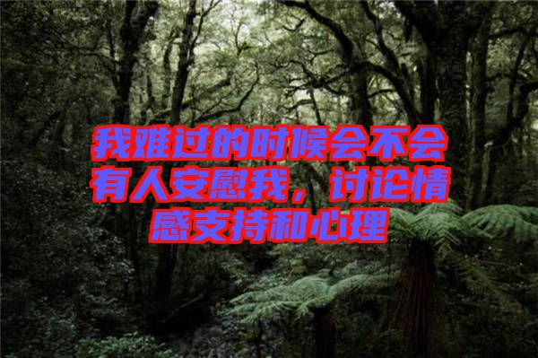 我難過的時候會不會有人安慰我，討論情感支持和心理