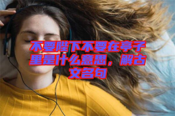 不要陛下不要在亭子里是什么意思，解古文名句