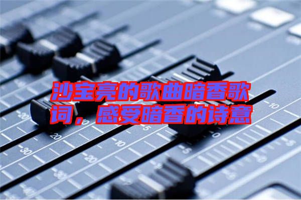 沙寶亮的歌曲暗香歌詞，感受暗香的詩意