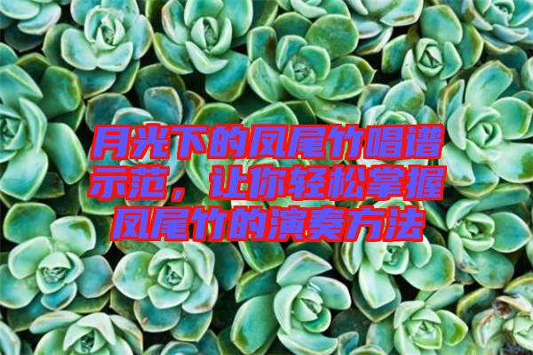 月光下的鳳尾竹唱譜示范，讓你輕松掌握鳳尾竹的演奏方法