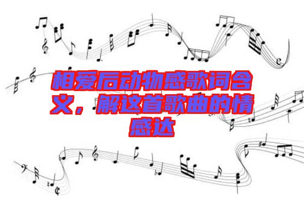 相愛后動(dòng)物感歌詞含義，解這首歌曲的情感達(dá)