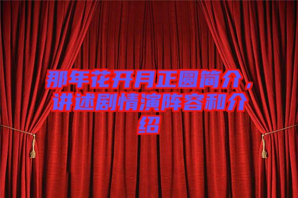 那年花開月正圓簡介，講述劇情演陣容和介紹
