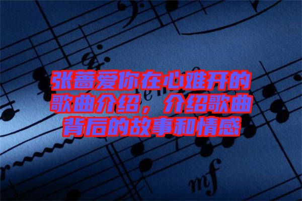 張薔愛你在心難開的歌曲介紹，介紹歌曲背后的故事和情感
