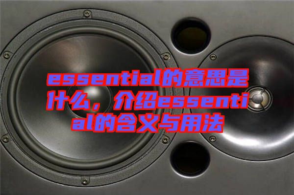 essential的意思是什么，介紹essential的含義與用法