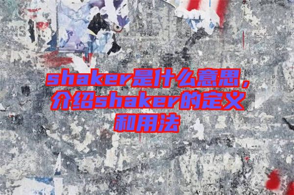 shaker是什么意思，介紹shaker的定義和用法