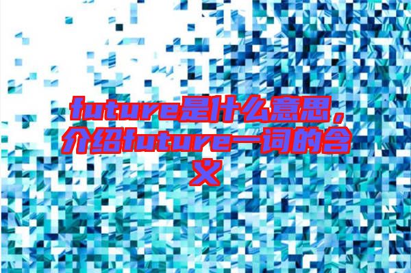 future是什么意思，介紹future一詞的含義
