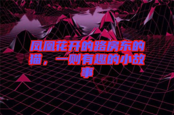 鳳凰花開的路房東的貓，一則有趣的小故事